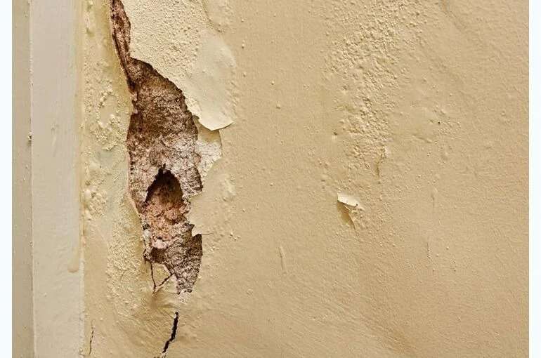 ベランダに鳩の巣を作られ