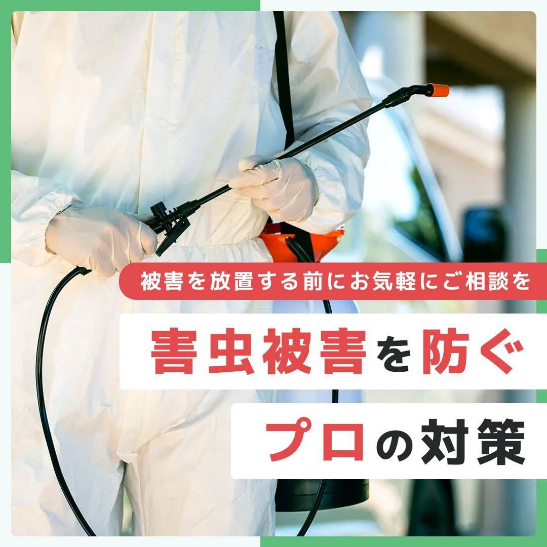 トコジラミの弱点に基づく効果的な駆除法解説