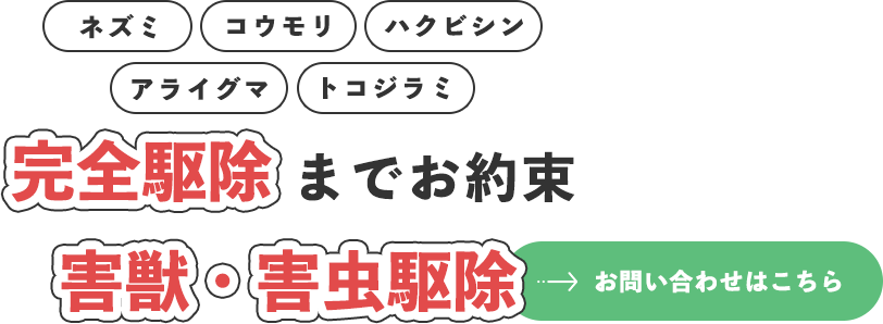 生活環境に配慮した対応を