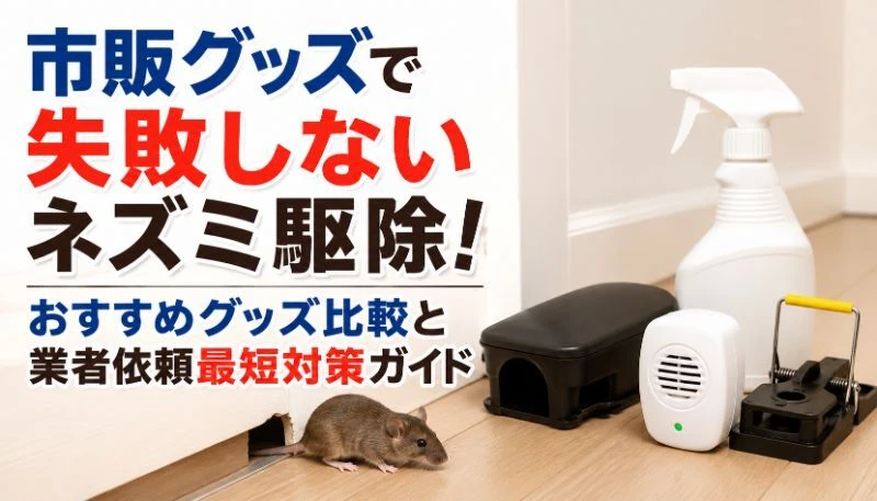 市販グッズで失敗しないネズミ駆除！おすすめグッズ比較と業者依頼最短対策ガイド
