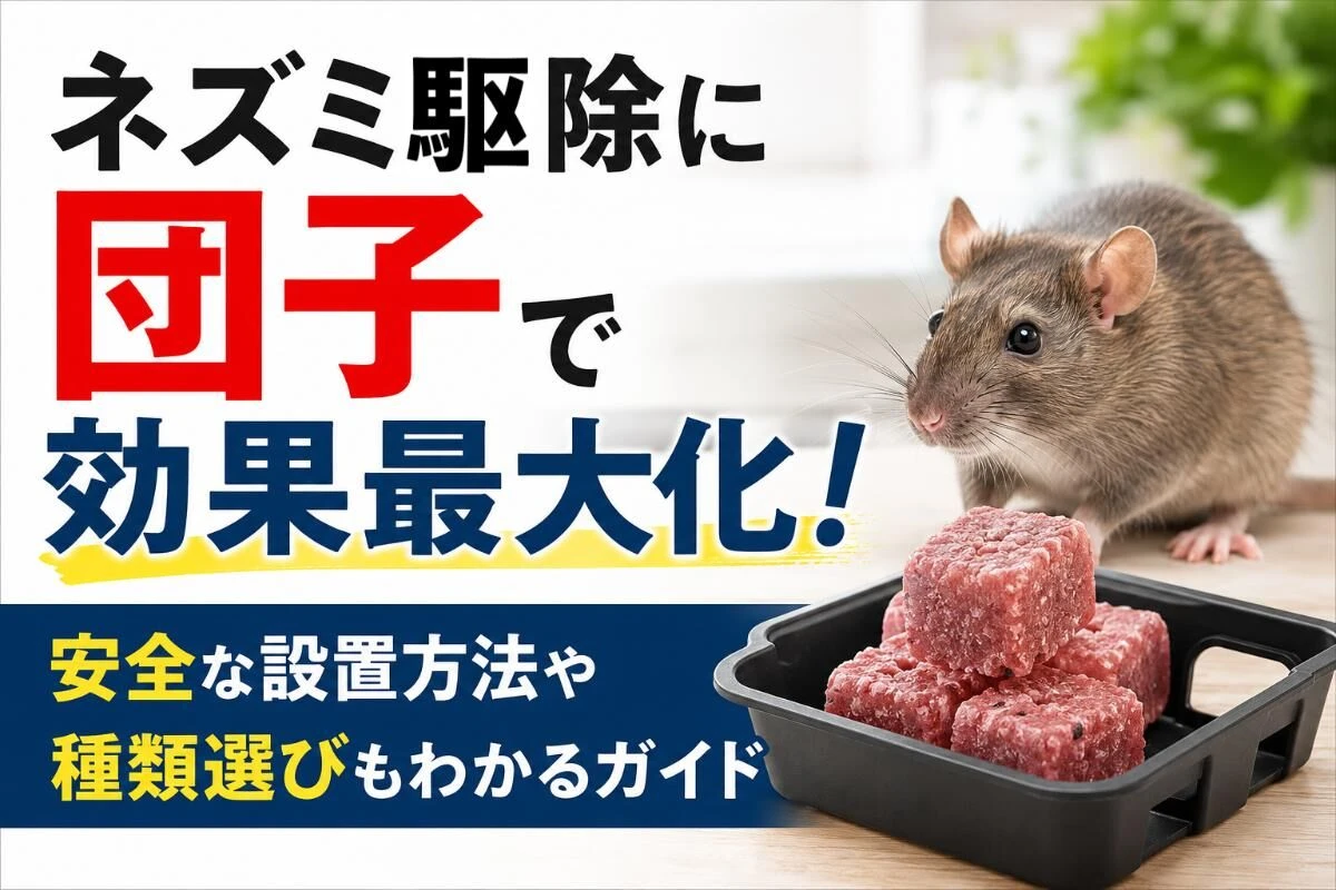 ネズミ駆除に団子で効果最大化！安全な設置方法や種類選びもわかるガイド