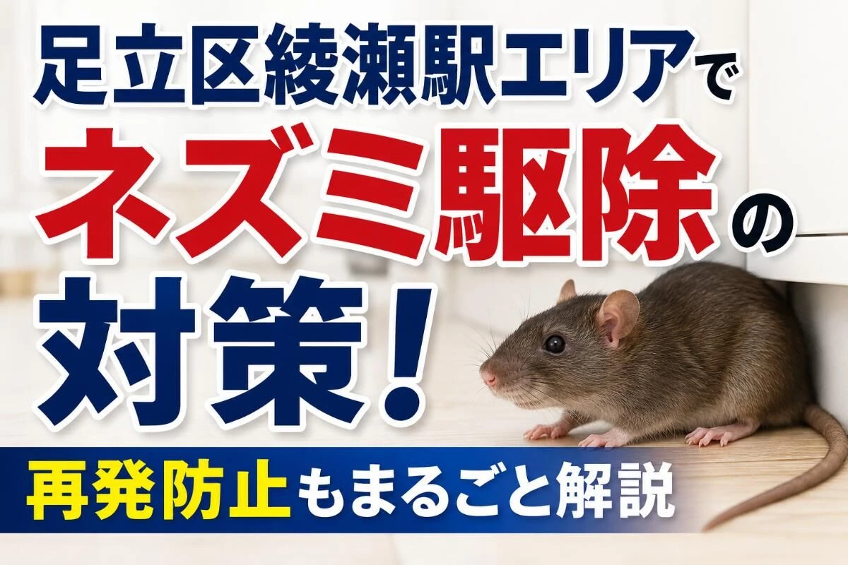 足立区綾瀬駅エリアでネズミ駆除の対策！再発防止もまるごと解説
