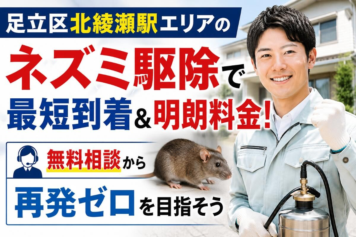 足立区北綾瀬駅エリアのネズミ駆除で最短到着＆明朗料金！無料相談から再発ゼロを目指そう