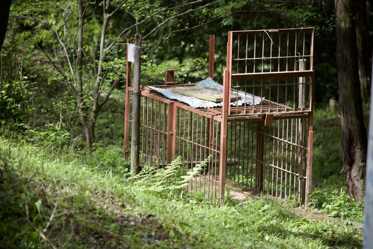 流山市の害獣駆除の完全対策ガイド！ネズミやハクビシンなどの被害や業者選びを解説