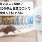 音でネズミ駆除？超音波の効果と設置のコツで再侵入を防ぐ方法