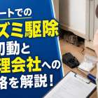 アパートでのネズミ駆除の初動と管理会社への連絡を解説！