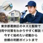 東京都葛飾区のネズミ駆除で費用や対策をわかりやすく解説！今すぐ始めたい初動から依頼の判断ポイントまで