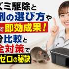 ネズミ駆除と薬剤の選び方や設置で即効成果！成分比較と安全対策で失敗ゼロの秘訣